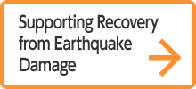 Supporting Recovery from Earthquake Damage