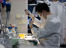 ⓒ 京都大学iPS細胞研究所 寄付は、9割が非正規である所員の雇用等に活用。