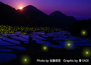 © Photo by Shingo Sano and Graphic by AO An activity to regenerate a habitat for fireflies in the terraced paddy fields found in the Ishibe region of Matsuzaki town in Shizuoka prefecture and the commercialization of ecotours.