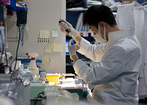© Center for iPS Cell Research and Application (CiRA), Kyoto University The donated funds are used to hire institute members, 90 percent of whom are on non-regular employment contracts.