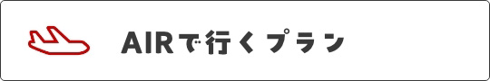 AIRで行くプラン