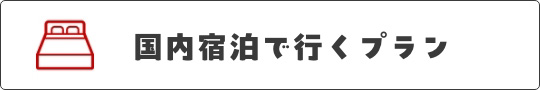 国内宿泊で行くプラン