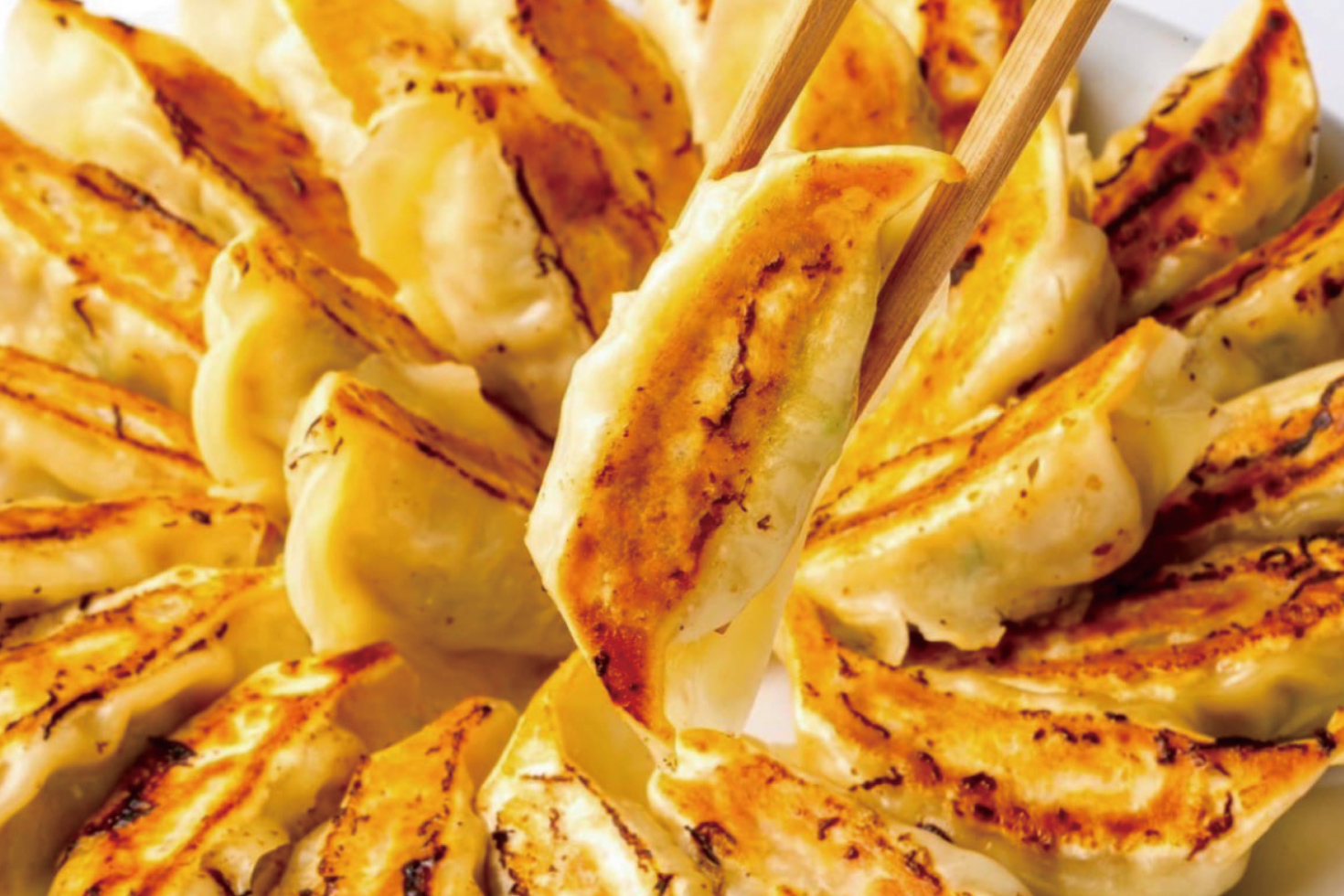 アフロ餃子 黒豚味